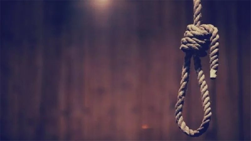 من أجل عيون العاشق.. إحالة أوراق قاتلة زوجها إلى المفتى