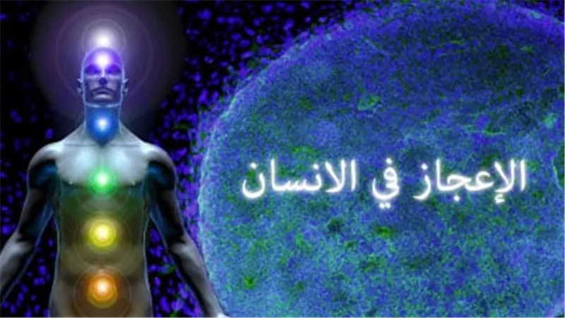 «وفي أنفسكم أفلا تبصرون».. الإعجاز في جسم الإنسان