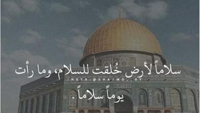 نصرة للقدس.. ميس حمدان: سلامًا لأرض خُلقت للسلام وما رأت يومًا سلامًا