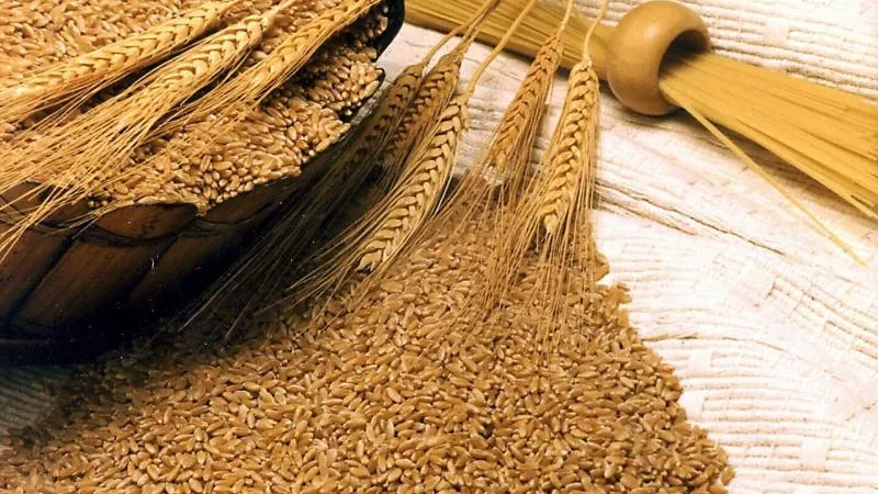 أبرزها إنقاص الوزن والتحكم في السكر.. 7 فوائد لماء الشعير