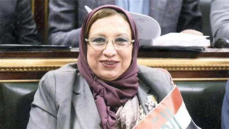 النائبة إيناس عبد الحليم تطالب بتوفير جهاز لعلاج أورام السرطان بمستشفى المنصورة