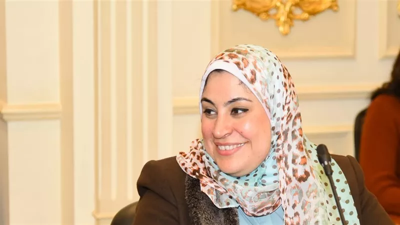 برلمانية تكشف أسباب تعليق الموافقة علي موازنة الهيئة القومية للتأمين
