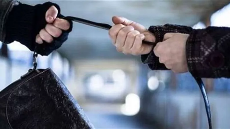 حبس لصين بتهمة سرقة حقائب السيدات في المعادي