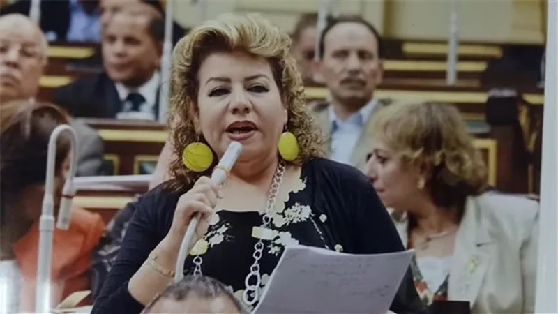 نائبة تطالب الجاليات المصرية للمشاركة في مبادرة «صوت مصر في أفريقيا»