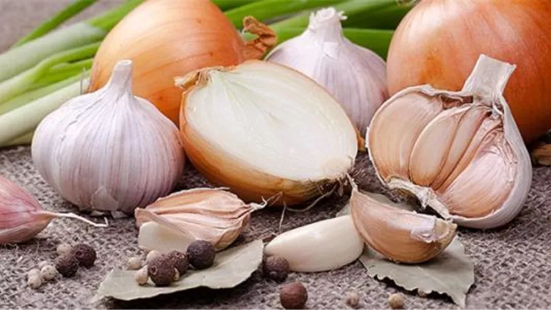 الطبيعي يكسب.. 4 أشياء منزلية بديلة للمضادات الحيوية 