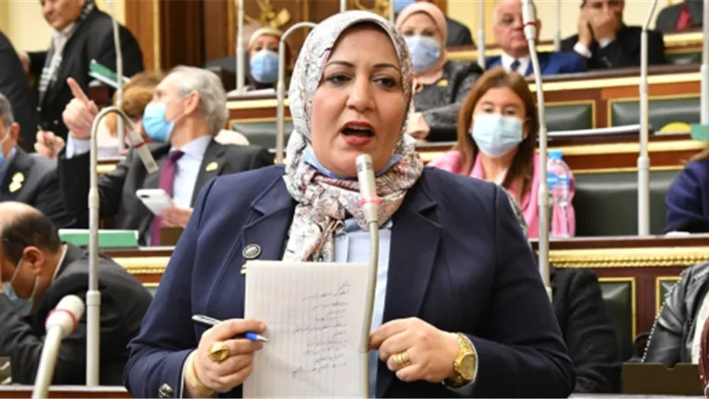 برلمانية: إنجازات الدولة المصرية خارج وداخل البلاد مدعاة للفخر 