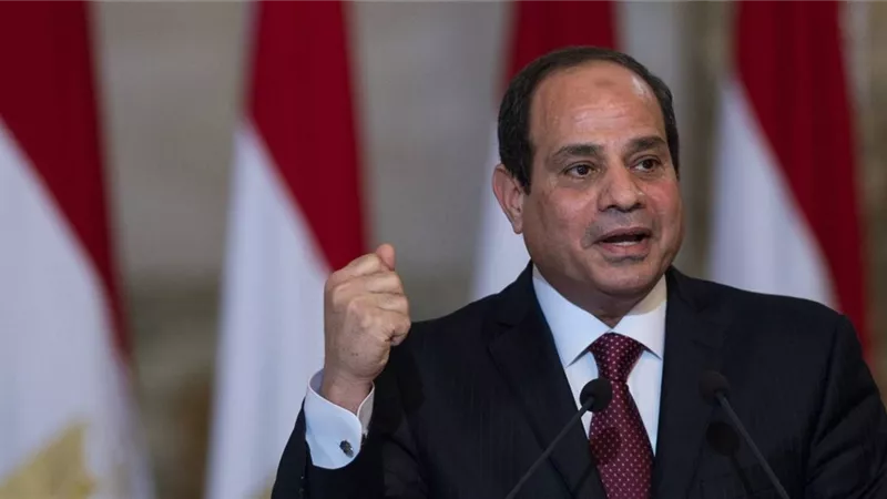 في اليوم العالمي لمكافحة عمل الأطفال.. رسالة شكر للرئيس السيسي من «المرأة الإفريقية»