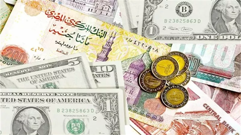 سعر الدولار مقابل الجنيه المصري اليوم الثلاثاء 15 يونيو 2021