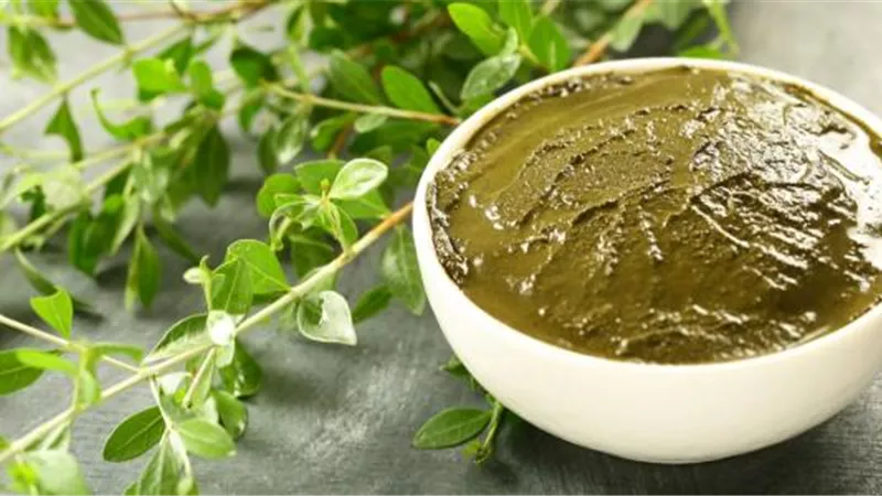 الحناء.. علاج للجروح ومهدئ للصداع