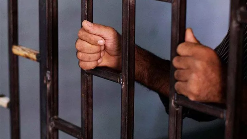 السجن المؤبد ..عقوبة قاتل أمه حرقًا بالمحلة الكبري