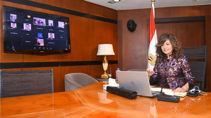 المصريون في كينيا لوزيرة الهجرة: صدّروا لنا الدواء وانقلوا خبرة الأطباء والصيادلة 