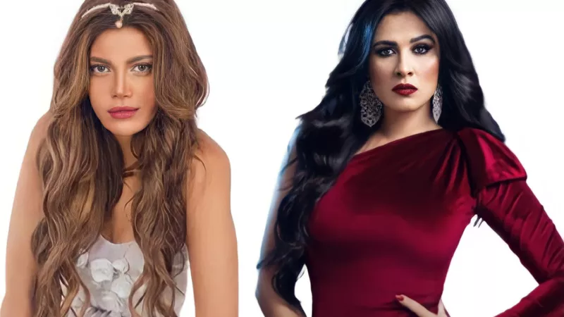 حرب شوارع بين ياسمين عبدالعزيز وريهام حجاج.. وأصل الحكاية