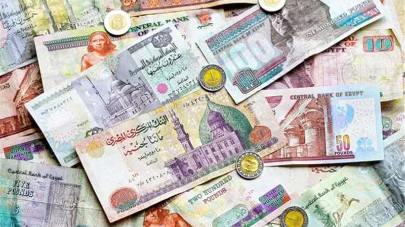 قابلة للغسيل ويستحيل تزويرها.. معلومات عن «العملات البلاستيكية» 