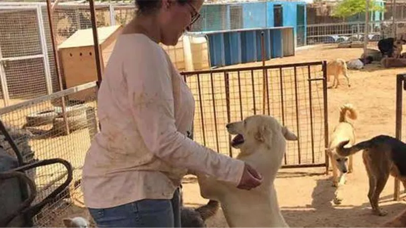 هل تربية الكلب بالمنزل حلال؟.. دار الإفتاء تُجيب