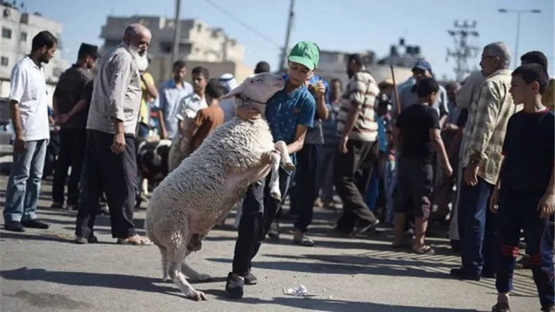 نختلف عن العالم.. قيادية فلسطينية تروي أجواء العيد في غزة