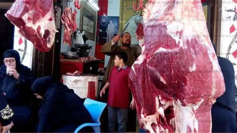 الطحال أولًا.. 