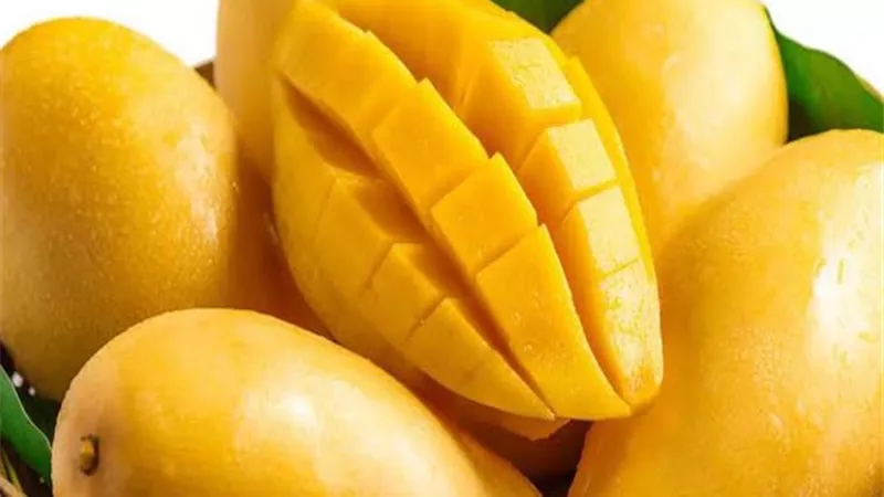 مسئول بسوق العبور يكشف عن موعد توافر وتخزين المانجو (فيديو)