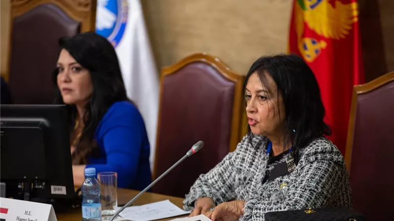 هاجر أبوجبل أول رئيس للجمعية العمومية للمجلس العالمي للتسامح والسلام