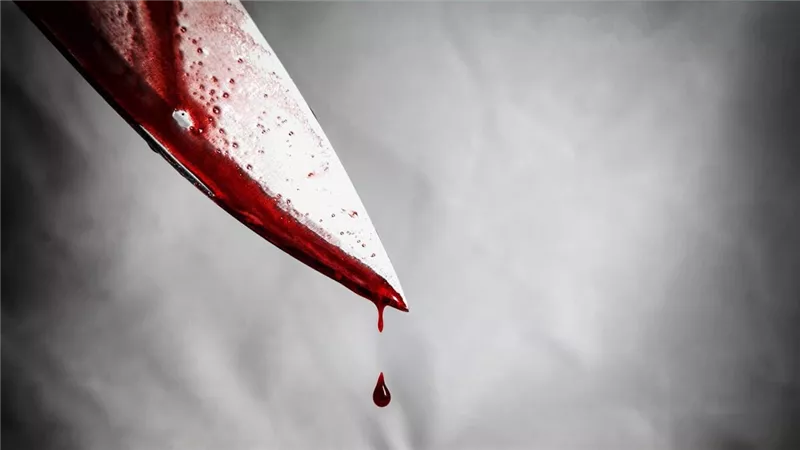 اعترافات قاتل أمه بـ 20 طعنة: «بتلبس ملابس خليعة وبتكلم رجالة أغراب»