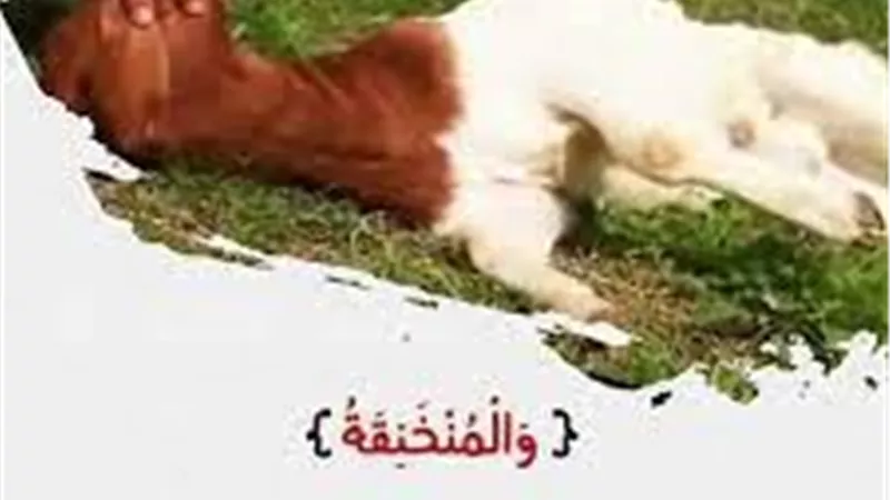 آية وعبرة.. ما هي المنخنقة والموقوذة والمتردية والنطيحة؟