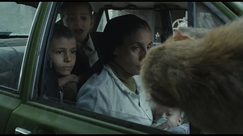 سبعة أفلام مصرية في الدورة الخامسة لمهرجان الجونة السينمائي