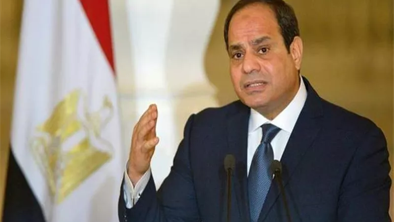 طفلان كفايه.. الرئيس السيسي: النمو السكاني يأكل كل جهد المصريين 