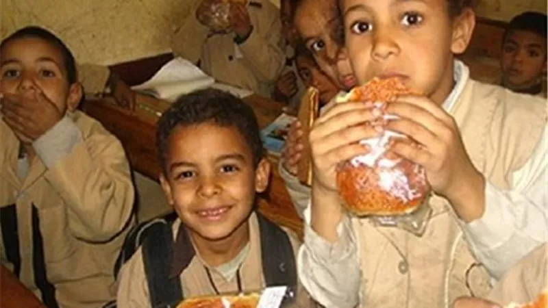 عضو الشيوخ: الاهتمام بالتغذية المدرسية ينجح منظومة التعليم