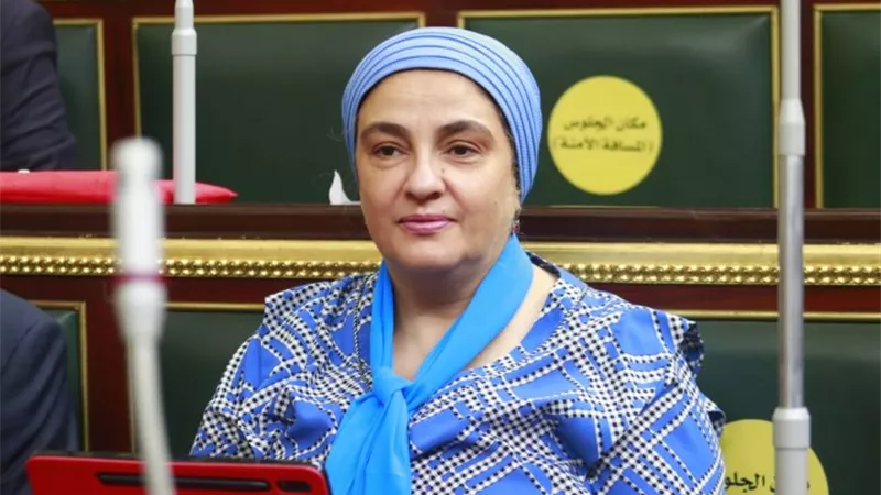 النائبة سميرة الجزار توجه طلب إحاطة للحكومة بسبب عمليات النصب الإلكتروني 