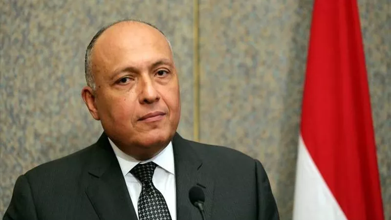 سامح شكري يبحث خريطة الطريق الليبية في الجزائر