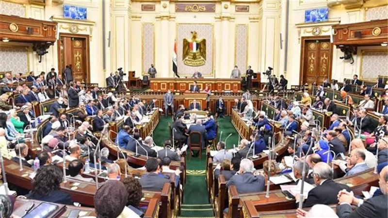 في طلب إحاطة لوزيرة الصحة.. نائبة تحذر من مخاطر عمليات تغيير لون العيون