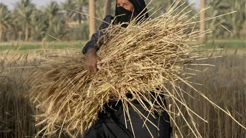 في عيد الفلاح.. المرأة الريفية شريكة كفاحه منذ الفراعنة