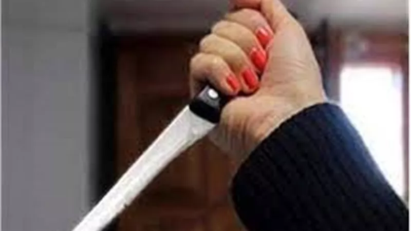 قاتلة عشيقها: كان عايز بنتي في الحرام.. وقطعت جسمه بمساعدة جوزي