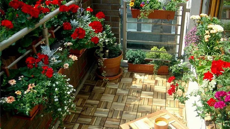«الورد مش بيسحب الأكسجين».. فوائد زراعة الزهور في المنزل