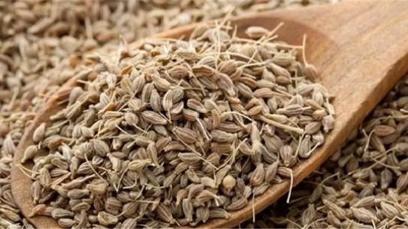 4 مشروبات لزيادة حليب الأم أبرزها اليانسون 