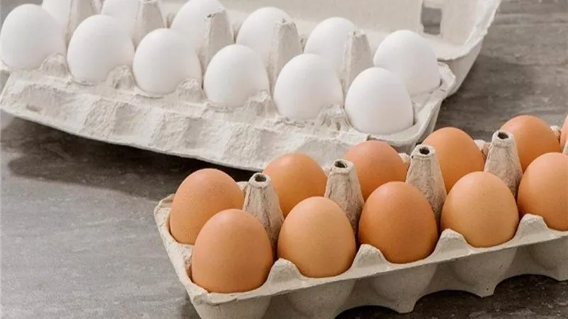 أسعار البيض اليوم الاثنين