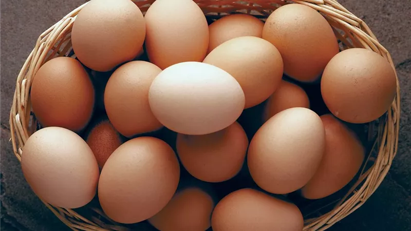 أسعار البيض اليوم الأربعاء