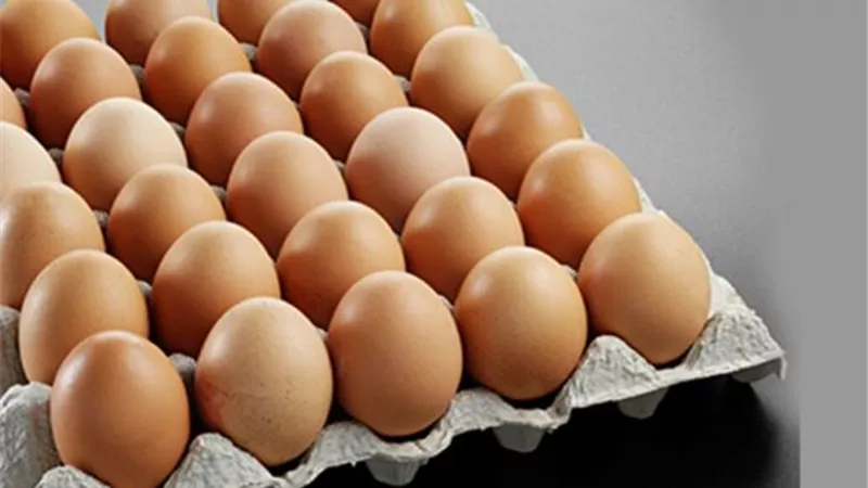 سعر كرتونة البيض اليوم الثلاثاء