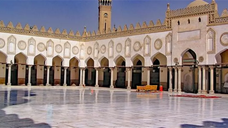 هير نيوز