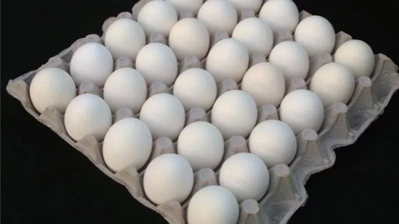 البلدي بـ60.. سعر كرتونة البيض اليوم