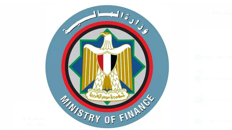 مشروعات «رقمنة الضرائب».. نماذج للشراكة الناجحة مع القطاع الخاص