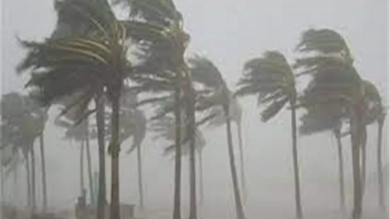 رياح شديدة واضطراب في حركة الملاحة.. أخبار الطقس اليوم