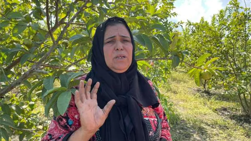 فوزية محمود.. 16 ساعة عملًا بـ