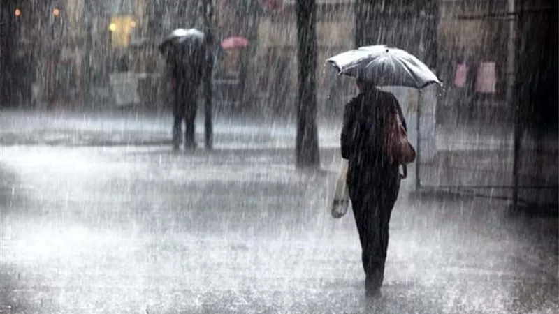 أمطار خفيفة على السواحل.. أخبار الطقس اليوم