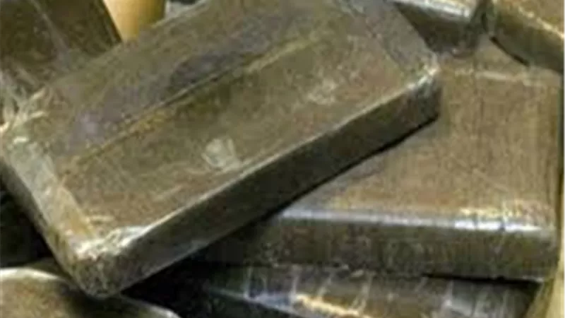 تتزعمه فتاة.. ضبط تشكيل عصابي لتجارة المخدرات في طنطا