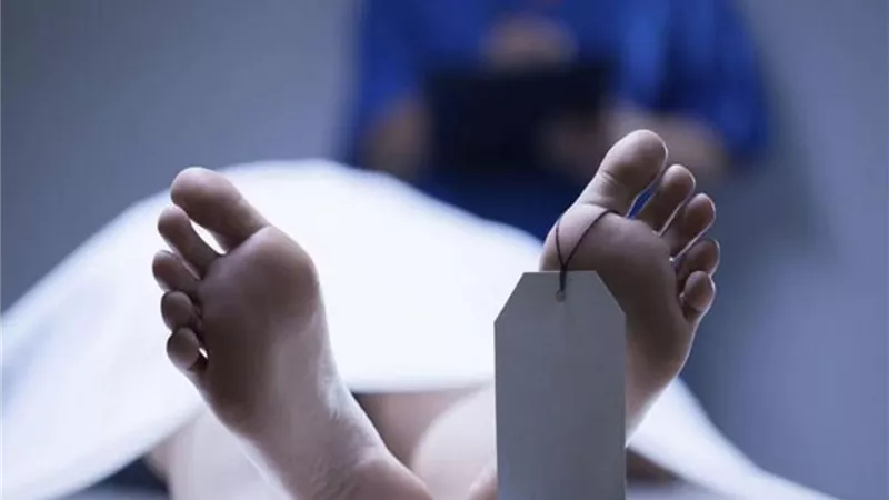 عامل وطالب يقتلان ربة منزل في البحيرة لسرقة ذهبها  