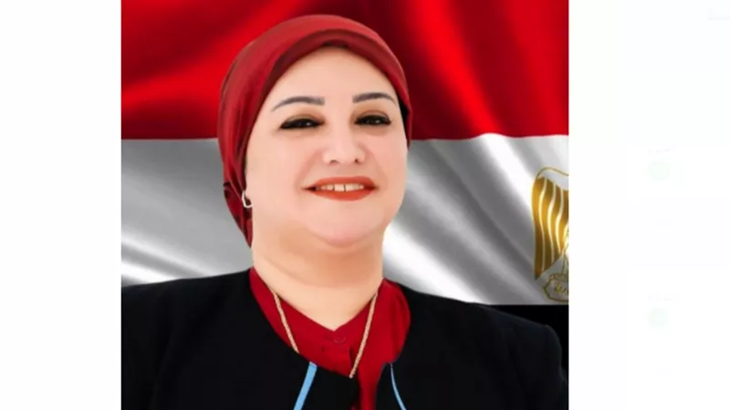 النائبة سولاف درويش لـ«هير نيوز»: المبادرات الرئاسية حفظت للمرأة حقوقها
