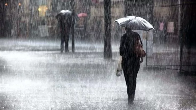 أمطار رعدية بالقاهرة والوجه البحري.. أخبار الطقس اليوم 