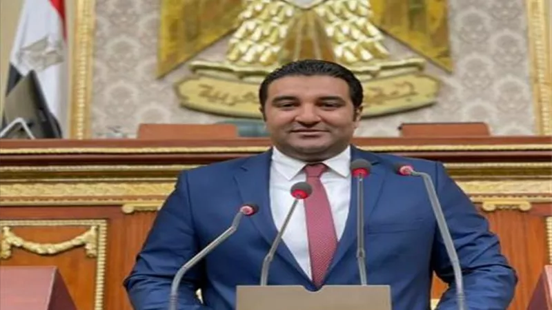 برلماني: إصدار بطاقات شخصية بطريقة برايل للمكفوفين يحفظ حقوقهم