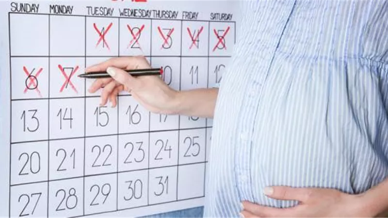 إزاي تحسبي فترة الحمل بالأسبوع والشهر؟   