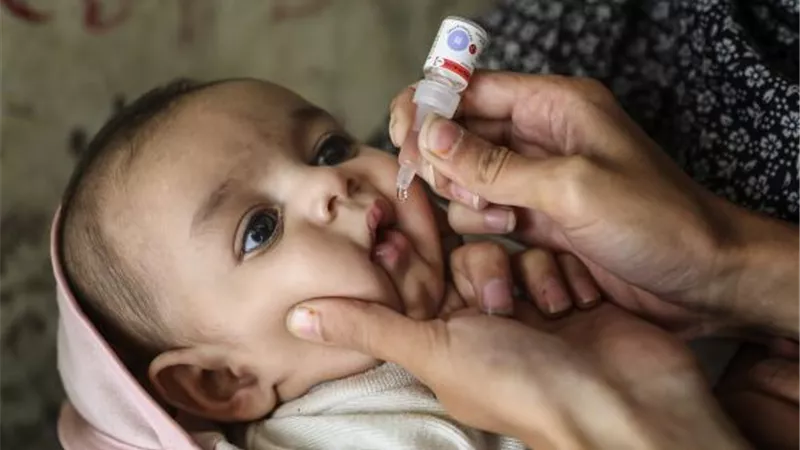تطعيم 981 ألف طفل ضمن حملة شلل الأطفال في المنيا